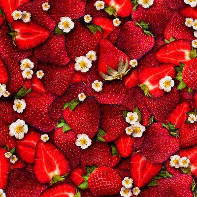 Dan Morris Fresh fabric: Strawberries Red (per 1/4 metre)