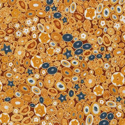 Gustav Klimt fabric: Gold