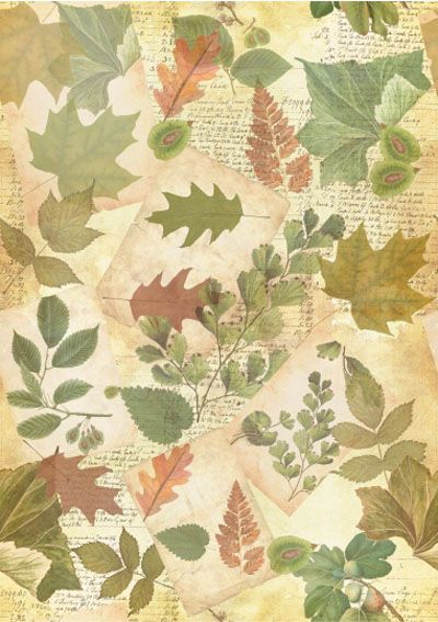 Herbarium Fabric: Tree Leaves