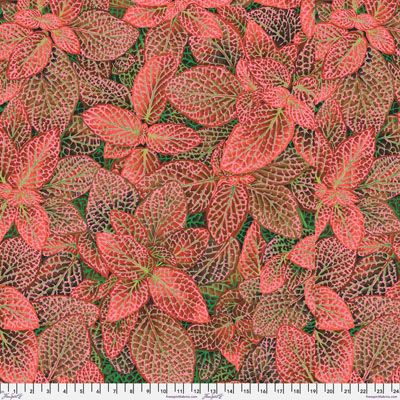 Kaffe Fassett Collective Fittonia fabric Red