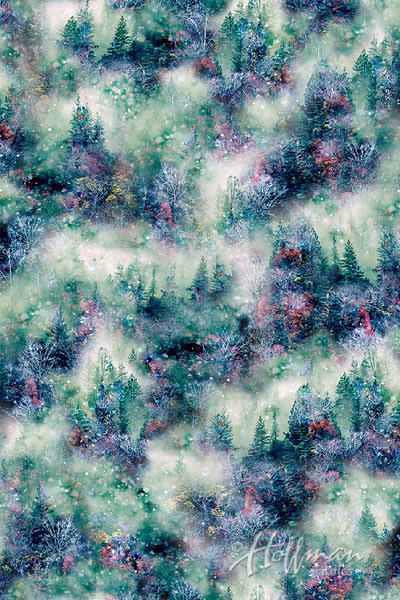 Call of the Wild Digital Print Fabric: Forest Viridian (per 1/4 metre)