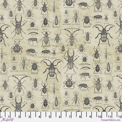 Tim Holtz Fabric: Eclectic Elements Laboratory, Specimen, neutral