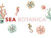 Image for Sea Botanica Fabrics