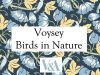 Image for V&A Birds in Nature