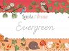 Image for Evergreen Fabrics by Lewis and Irene