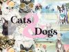 Image for Cats & Dogs Fabrics