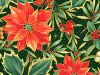 Image for Festive Foliage Fabrics