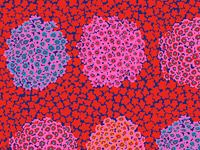 Kaffe Fassett Collective Hydrangea Fabrics