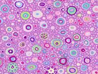 Kaffe Fassett Collective Roman Glass Fabrics