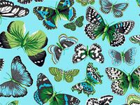 Butterfly Fabric