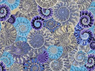 Kaffe Fassett Collective Ammonites Fabrics