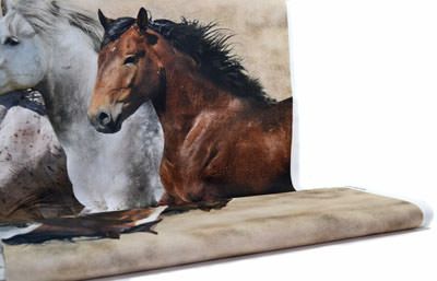 Wide Open Spaces Digital Print Fabric: Horses 90cm Panel