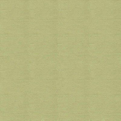 Dashwood Studio Fabric: Pop Solid Pistachio (per 1/4 metre)