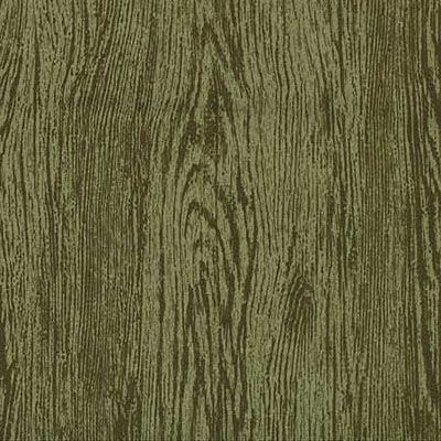 Texturescapes Fabric: Wood Texture Green (per 1/4 metre)