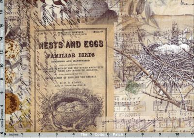 Tim Holtz Fabric: Eclectic Elements Wallflower Eggs and Nest Multi (per 1/4 metre)