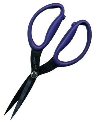 Karen Kay Buckley's Large Perfect Scissors