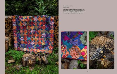 Kaffe Fassett Quilts on an English Farm Book