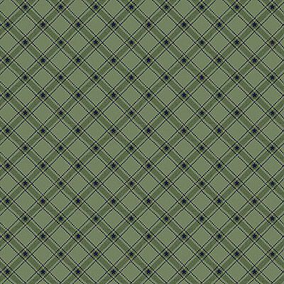 Kim Diehl Designs: Stars & Ticking Plaid Green (per 1/4 metre)