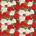 Classic Foliage fabric: Christmas Roses Multi (per 1/4 fabric)