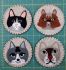 Cat Coasters Kit Rachels of Greenfield