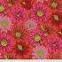 Philip Jacobs Fabric Cactus Flower Red (per 1/4 metre)