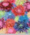 Philip Jacobs Fabric Japanese Chrysanthemum Contrast (per 1/4 metre)