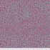 Kaffe Fassett Collective: Amaze Grey (per 1/4 metre)