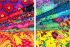 Kaffe Fassett Tropical Fat Quarter Bundle