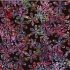 Bali Handpaints Fabric: Hepatica Dark (per 1/4 metre)