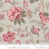 Antoinette fabric: Cecile Smoke