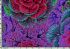 Philip Jacobs Fabric Brassica Purple (per 1/4 metre)