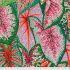 Kaffe Fassett Collective: Caladiums Bright (per 1/4 metre)