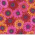 Kaffe Fassett Collective: Van Gogh Red (per 1/4 metre)