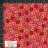 Quilters Coordinates fabric: Hoops Red (per 1/4 metre)