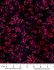 Bali Batik Handpaints Fabric: Sew the Rainbow Raspberry (per 1/4 metre)