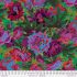 Kaffe Fassett Collective Fabric Floral Burst Green (per 1/4 metre)