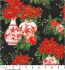 Holiday Flourish, Festive Finery fabric: Poinsettias, Vases & Baubles, Black