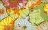 Kaffe Fassett Fabric Lotus Leaf Jade (per 1/4 metre)