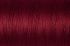 Gutermann Natural Cotton 50 Weight Thread 400m 2433 Crimson