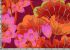 Kaffe Fassett Fabric Lake Blossoms Red (per 1/4 metre)