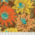 Kaffe Fassett Collective: Cactus Flower Brown (per 1/4 metre)