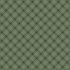 Kim Diehl Designs: Stars & Ticking Plaid Green (per 1/4 metre)