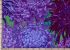 Philip Jacobs Fabric Japanese Chrysanthemum Purple (per 1/4 metre)