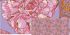 Anna Maria Horner Extra Wide Quilt Back Fabric: Peony Heather (per 1/4 metre)