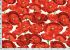 Poppy Days Fabric: Allover Poppies Crimson (per 1/4 metre)