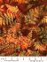 Bali Batik Handpaints Fabric: Earth Meets Sky Paprika (per 1/4 metre)