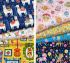 Fiesta Fabrics Fat Quarter Bundle