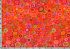 Kaffe Fassett Fabric Paperweight Red (per 1/4 metre)