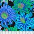 Kaffe Fassett Collective: Cactus Flower Cool (per 1/4 metre)