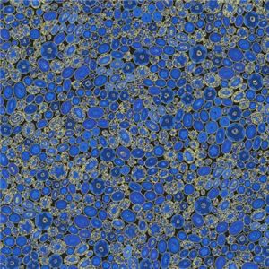 Gustav Klimt fabric: Packed Circles, Sapphire | 